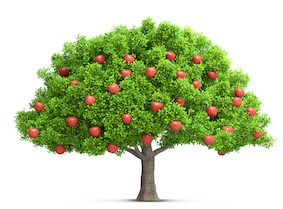 Red,Apple,Tree,Isolated,3d,Illustration red apple tree isolated 3D illustration