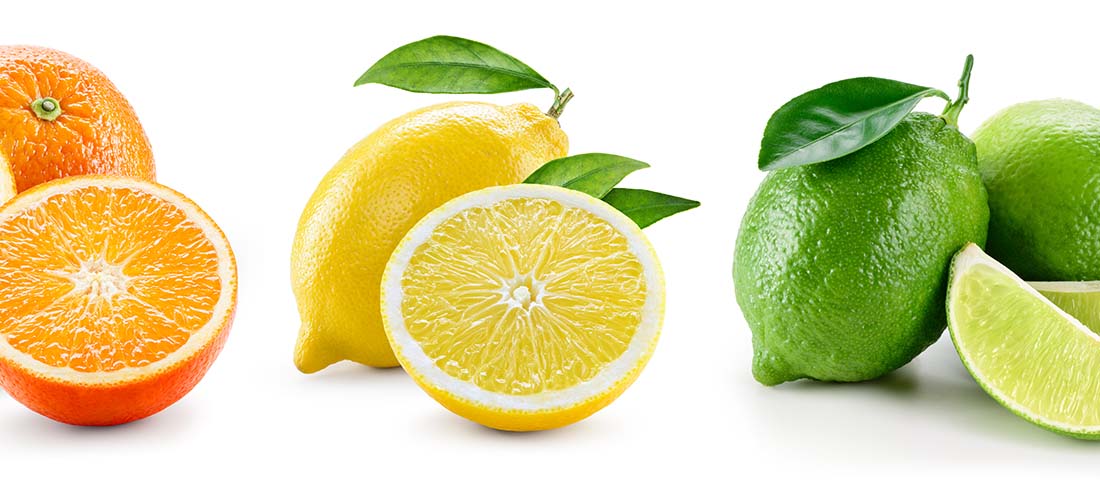 citrus citrus