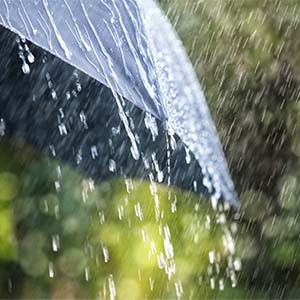 rain rain