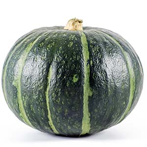 Pumpkin Pumpkin