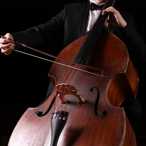 Double bass player Double bass player