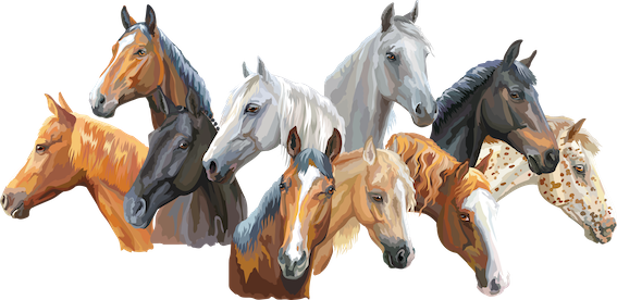 Horses 2 Horses 2