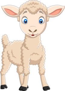 lamb II lamb II