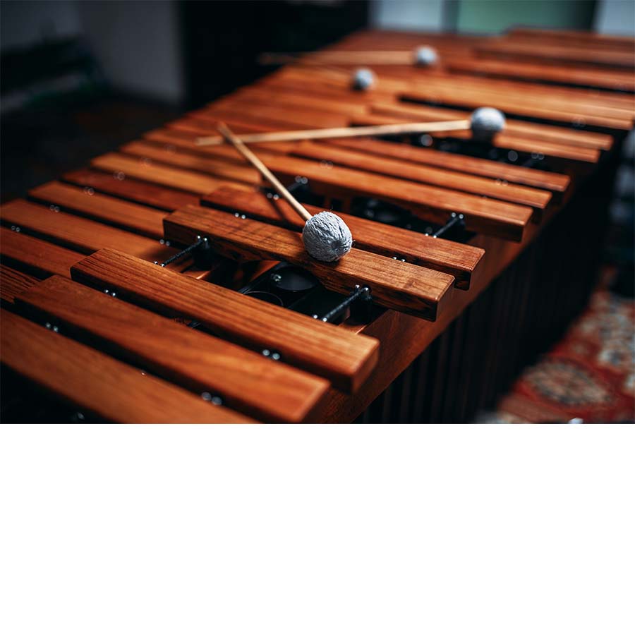xylophone 3 xylophone 3