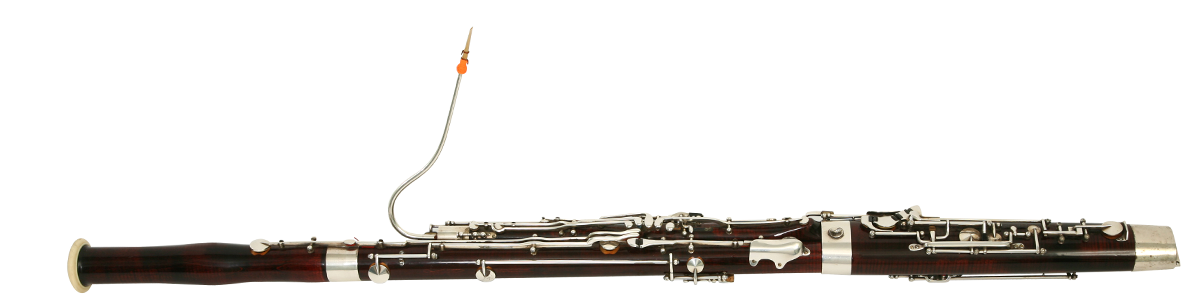 Bassoon [isolated]