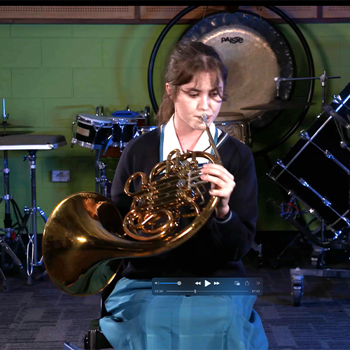 French horn player French horn player