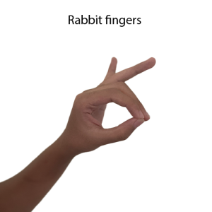 Rabbit fingers copy