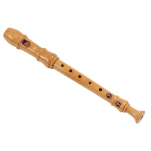 Recorder-1 copy Recorder-1 copy