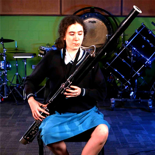 Bassoon 2 Bassoon