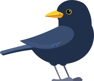 Blackbird Blackbird