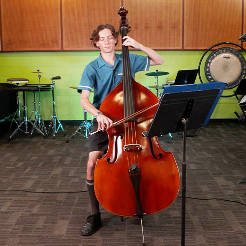 Double Bass 2 Double Bass