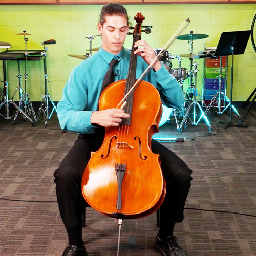 Double Bass 2 Cello