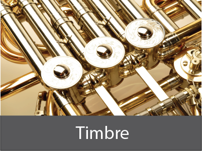 Timbretopic