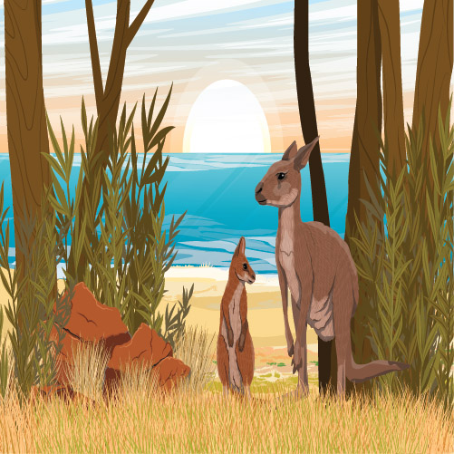 Kangaroos 2 copy