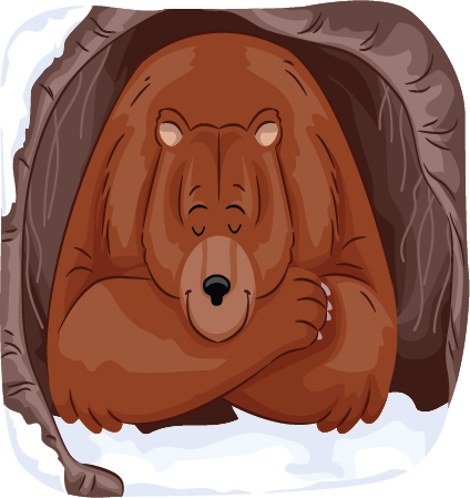 Bear in cave Bear in cave