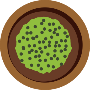 Pease porridge